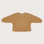 Riverson Cotton Teddy Sweatshirt (Brown)